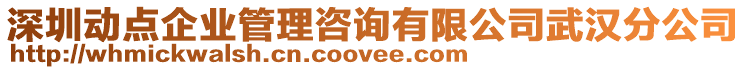 深圳動點企業(yè)管理咨詢有限公司武漢分公司