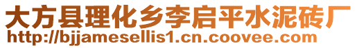 大方縣理化鄉(xiāng)李啟平水泥磚廠