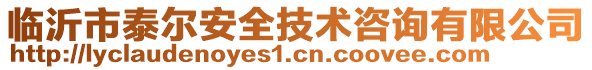 臨沂市泰爾安全技術(shù)咨詢有限公司