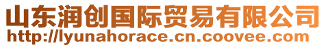 山東潤(rùn)創(chuàng)國(guó)際貿(mào)易有限公司