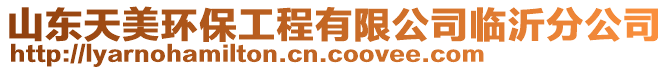 山東天美環保工程有限公司臨沂分公司