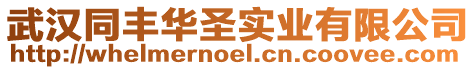 武漢同豐華圣實業有限公司