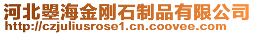 河北曌海金剛石制品有限公司