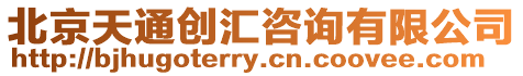 北京天通創匯咨詢有限公司