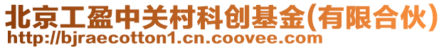 北京工盈中關(guān)村科創(chuàng)基金(有限合伙)