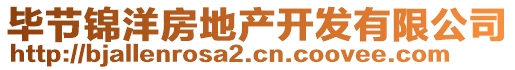 畢節(jié)錦洋房地產(chǎn)開發(fā)有限公司