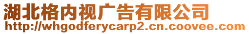 湖北格內(nèi)視廣告有限公司