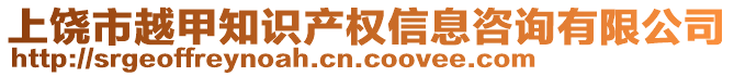 上饒市越甲知識產權信息咨詢有限公司