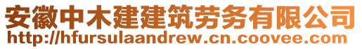 安徽中木建建筑勞務有限公司