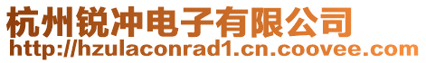 杭州銳沖電子有限公司