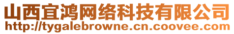 山西宜鴻網(wǎng)絡(luò)科技有限公司