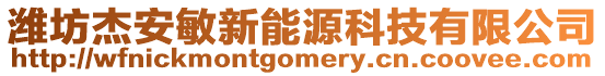 濰坊杰安敏新能源科技有限公司