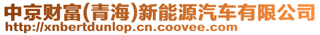 中京財(cái)富(青海)新能源汽車有限公司