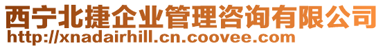 西寧北捷企業(yè)管理咨詢有限公司