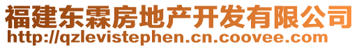 福建東霖房地產(chǎn)開發(fā)有限公司