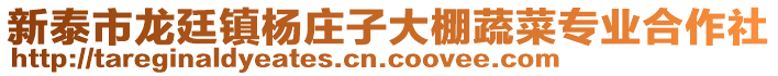 新泰市龍廷鎮(zhèn)楊莊子大棚蔬菜專業(yè)合作社