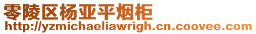 零陵區(qū)楊亞平煙柜