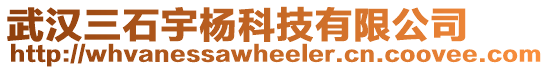 武漢三石宇楊科技有限公司