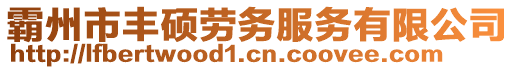 霸州市豐碩勞務(wù)服務(wù)有限公司