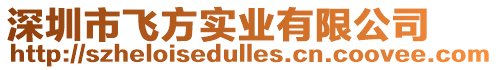 深圳市飛方實業(yè)有限公司