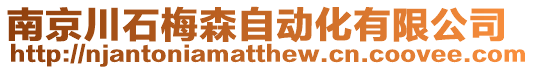 南京川石梅森自動(dòng)化有限公司