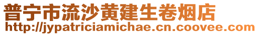 普寧市流沙黃建生卷煙店