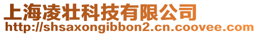 上海凌壯科技有限公司