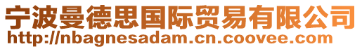 寧波曼德思國際貿(mào)易有限公司