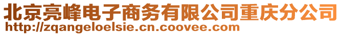 北京亮峰電子商務(wù)有限公司重慶分公司