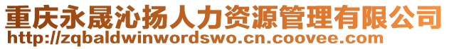 重慶永晟沁揚(yáng)人力資源管理有限公司