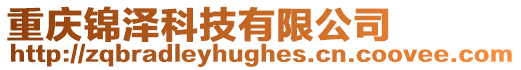 重慶錦澤科技有限公司