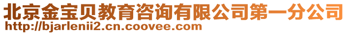 北京金寶貝教育咨詢有限公司第一分公司