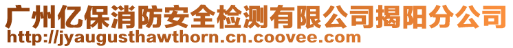 廣州億保消防安全檢測(cè)有限公司揭陽(yáng)分公司