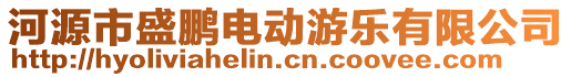 河源市盛鵬電動游樂有限公司