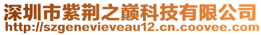 深圳市紫荊之巔科技有限公司