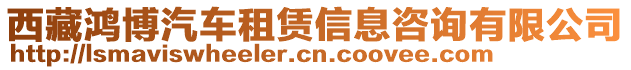 西藏鴻博汽車租賃信息咨詢有限公司