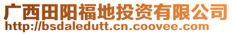 廣西田陽福地投資有限公司