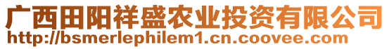 廣西田陽祥盛農(nóng)業(yè)投資有限公司