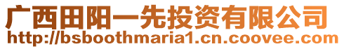 廣西田陽一先投資有限公司