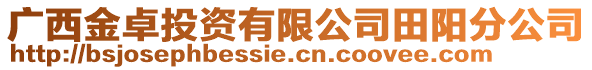 廣西金卓投資有限公司田陽分公司