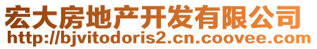 宏大房地產(chǎn)開發(fā)有限公司