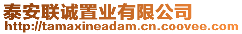 泰安聯(lián)誠(chéng)置業(yè)有限公司