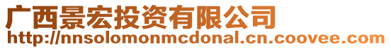 廣西景宏投資有限公司