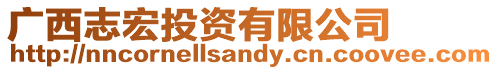 廣西志宏投資有限公司