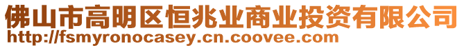 佛山市高明區(qū)恒兆業(yè)商業(yè)投資有限公司