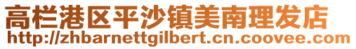 高欄港區(qū)平沙鎮(zhèn)美南理發(fā)店
