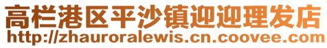 高欄港區平沙鎮迎迎理發店