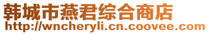 韩城市燕君综合商店