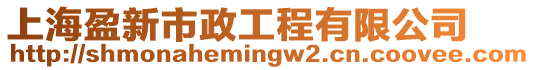 上海盈新市政工程有限公司