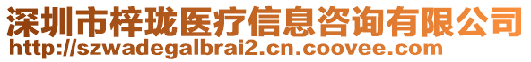 深圳市梓瓏醫(yī)療信息咨詢有限公司